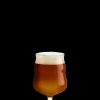 Holmegaard Mikkeller Universalt Ølglas 40 cl klar 2 stk. Online