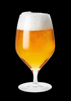 Rosendahl Premium Ølglas 60 cl klar 2 stk. | Køb her Discount